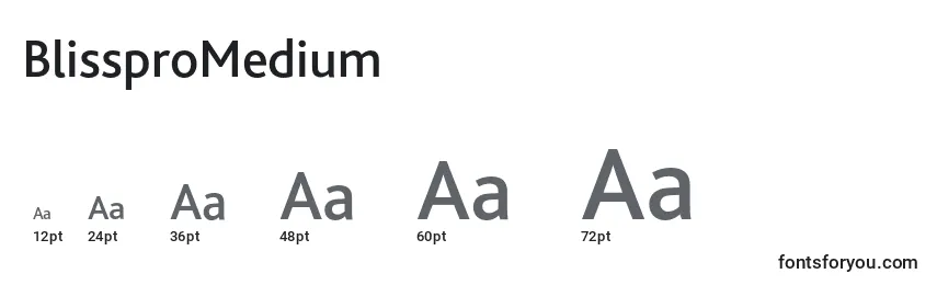 sizes of blisspromedium font, blisspromedium sizes