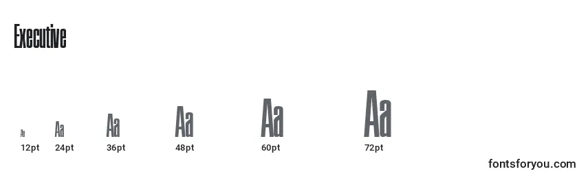 sizes of executive font, executive sizes