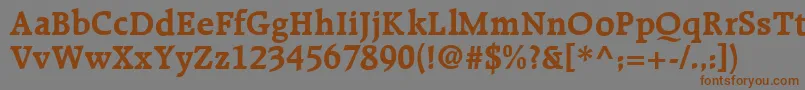 R651RomanBold Font – Brown Fonts on Gray Background