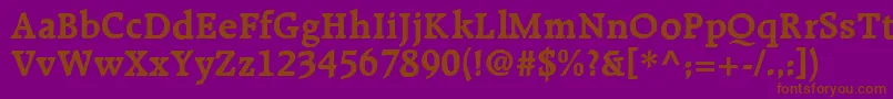 R651RomanBold Font – Brown Fonts on Purple Background