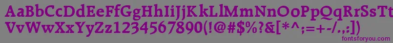 R651RomanBold Font – Purple Fonts on Gray Background