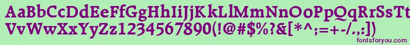 R651RomanBold Font – Purple Fonts on Green Background