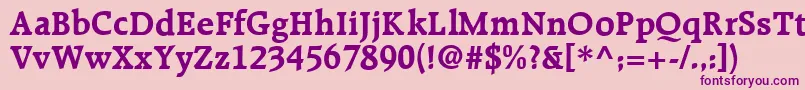 R651RomanBold Font – Purple Fonts on Pink Background