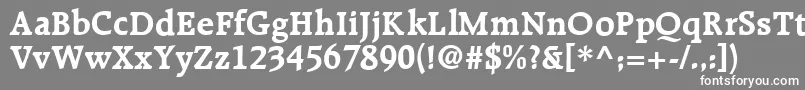 R651RomanBold Font – White Fonts on Gray Background