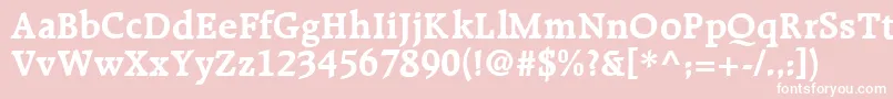 R651RomanBold Font – White Fonts on Pink Background