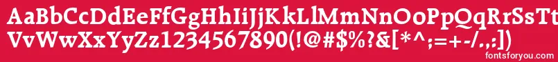 R651RomanBold Font – White Fonts on Red Background