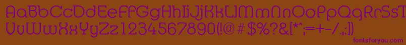 MexicoserialLightRegular Font – Purple Fonts on Brown Background