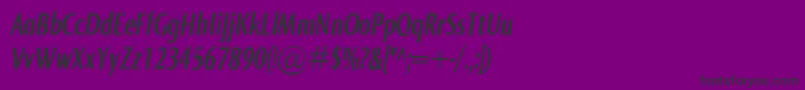 Czcionka NormaComprBolditalic – czarne czcionki na fioletowym tle