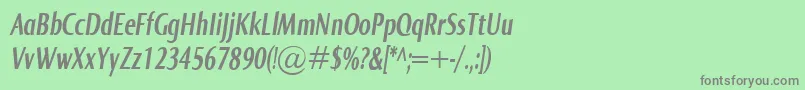 NormaComprBolditalic Font – Gray Fonts on Green Background
