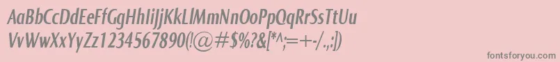 NormaComprBolditalic Font – Gray Fonts on Pink Background