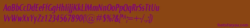 NormaComprBolditalic Font – Purple Fonts on Brown Background