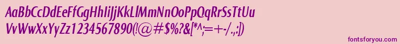 NormaComprBolditalic Font – Purple Fonts on Pink Background