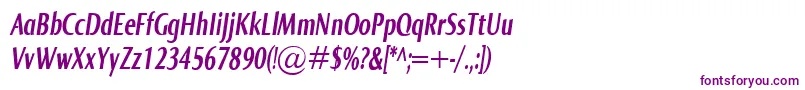 NormaComprBolditalic Font – Purple Fonts on White Background