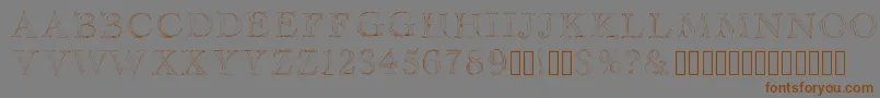 Шрифт Haityfont – коричневые шрифты на сером фоне