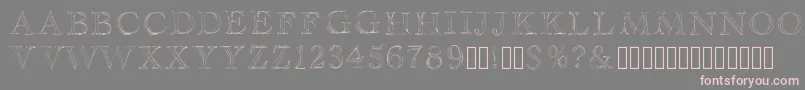 フォントHaityfont – 灰色の背景にピンクのフォント