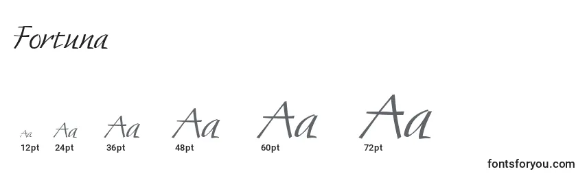 Размеры шрифта Fortuna