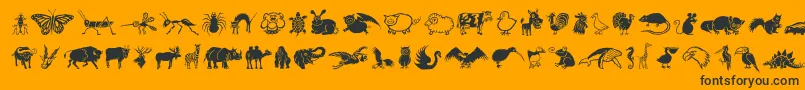 DfWildlifeLetPlain.1.0 Font – Black Fonts on Orange Background