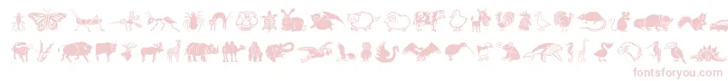 DfWildlifeLetPlain.1.0 Font – Pink Fonts on White Background