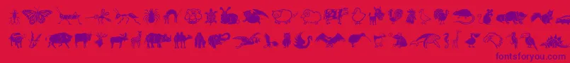 DfWildlifeLetPlain.1.0 Font – Purple Fonts on Red Background