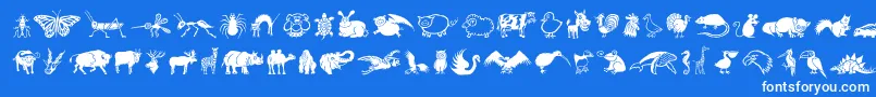 DfWildlifeLetPlain.1.0 Font – White Fonts on Blue Background