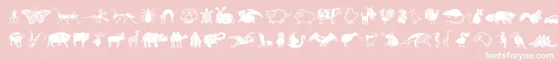 DfWildlifeLetPlain.1.0-Schriftart – Weiße Schriften auf rosa Hintergrund