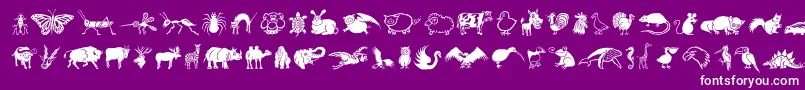 DfWildlifeLetPlain.1.0 Font – White Fonts on Purple Background