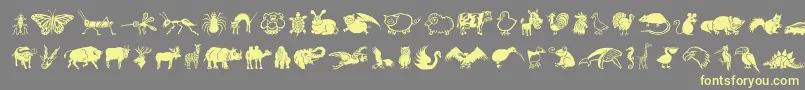 DfWildlifeLetPlain.1.0 Font – Yellow Fonts on Gray Background