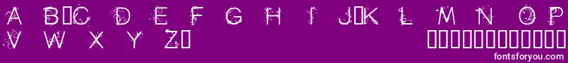 Cfflowersofdestinypersonal Font – White Fonts on Purple Background