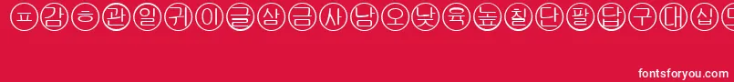 Bullets5korean Font – White Fonts on Red Background