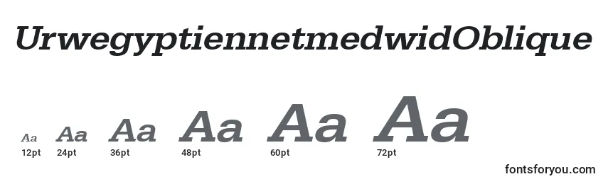 Размеры шрифта UrwegyptiennetmedwidOblique