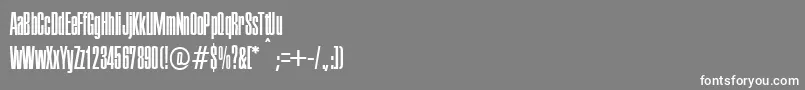 Executive Font – White Fonts on Gray Background