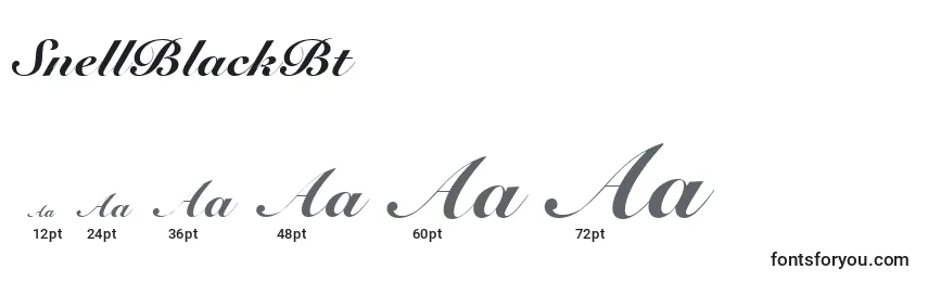 sizes of snellblackbt font, snellblackbt sizes