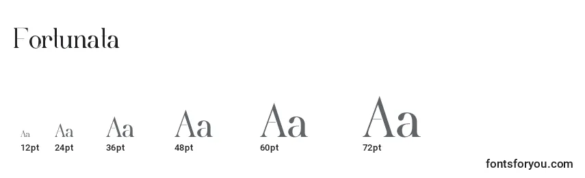 sizes of fortunata font, fortunata sizes