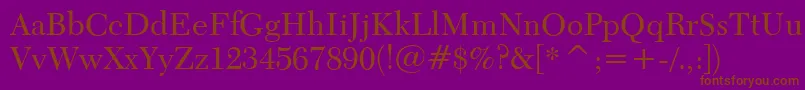 Transitional511Bt Font – Brown Fonts on Purple Background