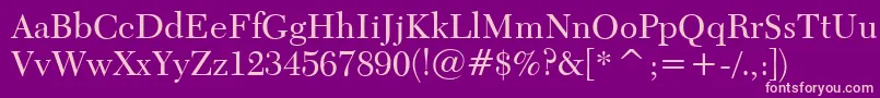 Transitional511Bt Font – Pink Fonts on Purple Background