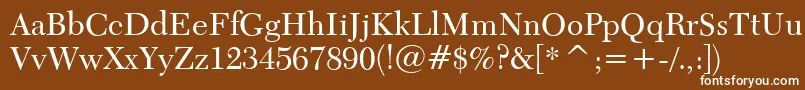 Transitional511Bt Font – White Fonts on Brown Background