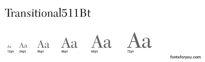 Transitional511Bt Font Sizes