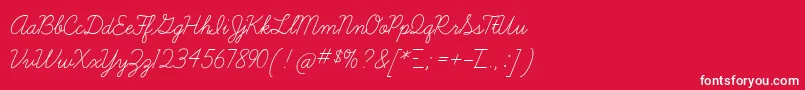 フォントLearningcurve – 赤い背景に白い文字