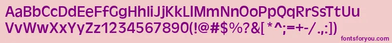 AntigoneRegular Font – Purple Fonts on Pink Background
