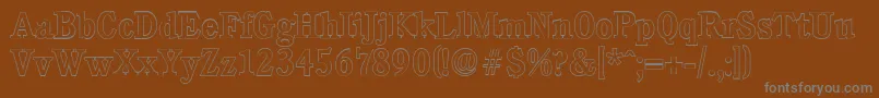 CalgaryoutlineMediumRegular Font – Gray Fonts on Brown Background