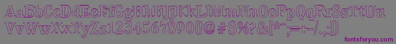 CalgaryoutlineMediumRegular Font – Purple Fonts on Gray Background