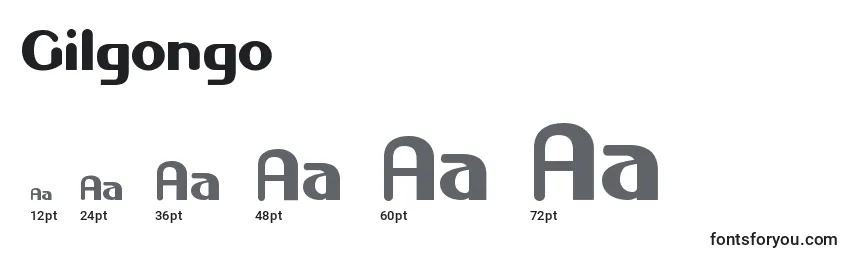 Размеры шрифта Gilgongo
