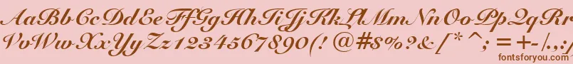 fuente SnellBlackBt – Fuentes Marrones Sobre Fondo Rosa