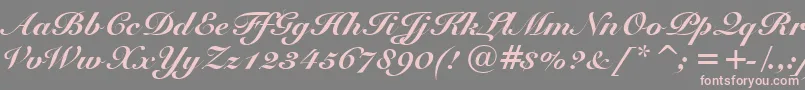 SnellBlackBt-Schriftart – Rosa Schriften auf grauem Hintergrund