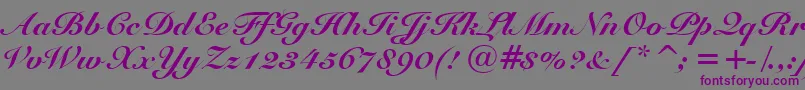 SnellBlackBt Font – Purple Fonts on Gray Background