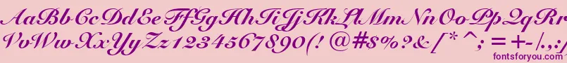 Fonte SnellBlackBt – fontes roxas em um fundo rosa
