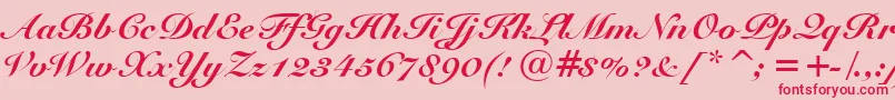 SnellBlackBt Font – Red Fonts on Pink Background