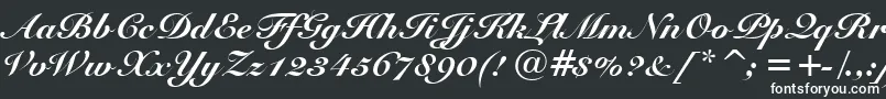 SnellBlackBt Font – White Fonts