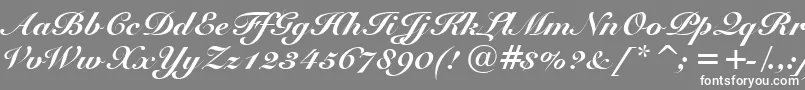 fuente SnellBlackBt – Fuentes Blancas Sobre Fondo Gris