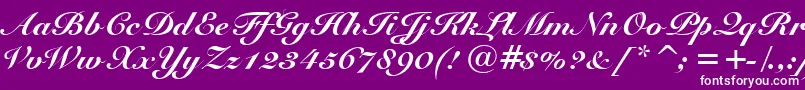 SnellBlackBt-fontti – valkoiset fontit violetilla taustalla